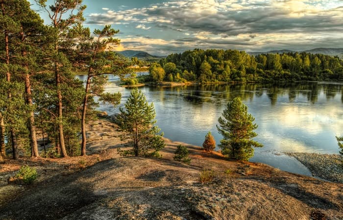 Бальзамы и масла