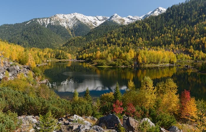 Дары Алтая